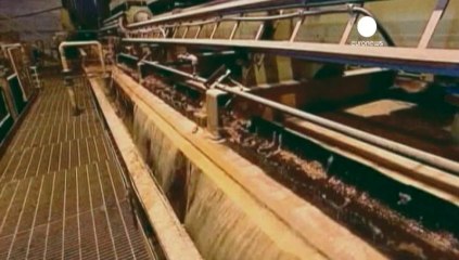 Potash boss arrest provokes row