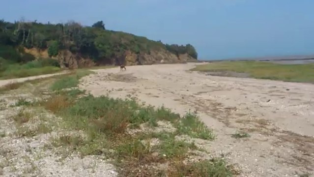 Ballade à cheval du Verger