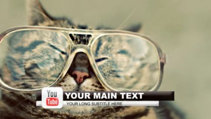 social network lower thirds - After Effects Template