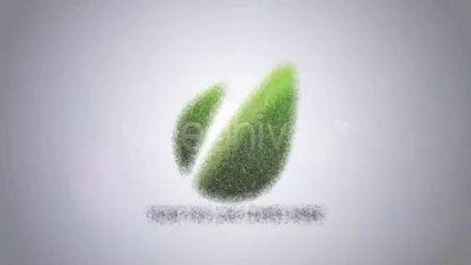 Flying Through Words Logo Reveal - After Effects Template