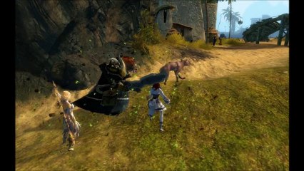 Les Aruspices en jumping puzzle !!