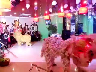 Dịch vụ cho thuê múa lân trung thu, xiếc thú, ảo thuật LH:0968168724