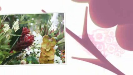 Frame Repair Jensen Beach FL