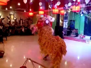 Dịch vụ cho thuê múa lân trung thu, xiếc thú, ảo thuật LH:0968168724