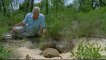 Lonesome George's Story | Galapagos Tortoise by BBC