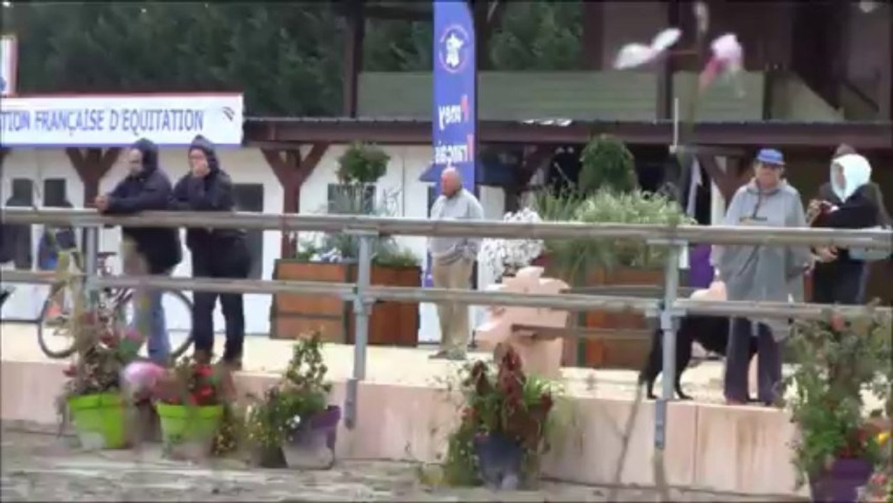 SP 2013 MINI SHOW
