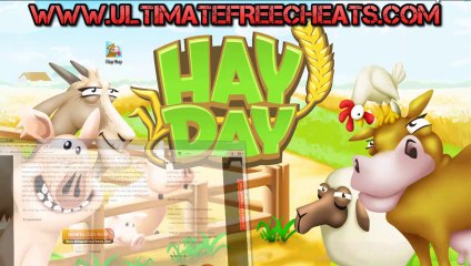 Add Free Hay Day Coins - Tutorial