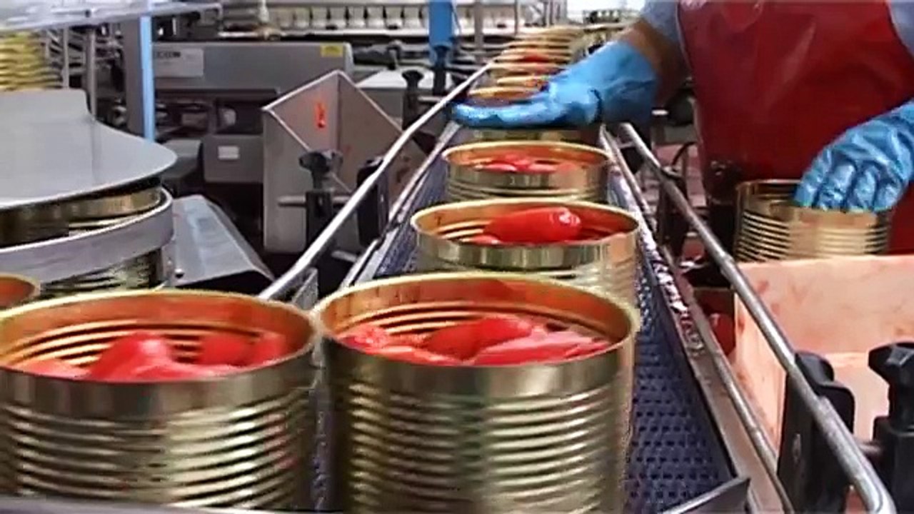 Salerno - Cambiamenti climatici, ritardi nella lavorazione dei pomodori -1- (27.08.13)