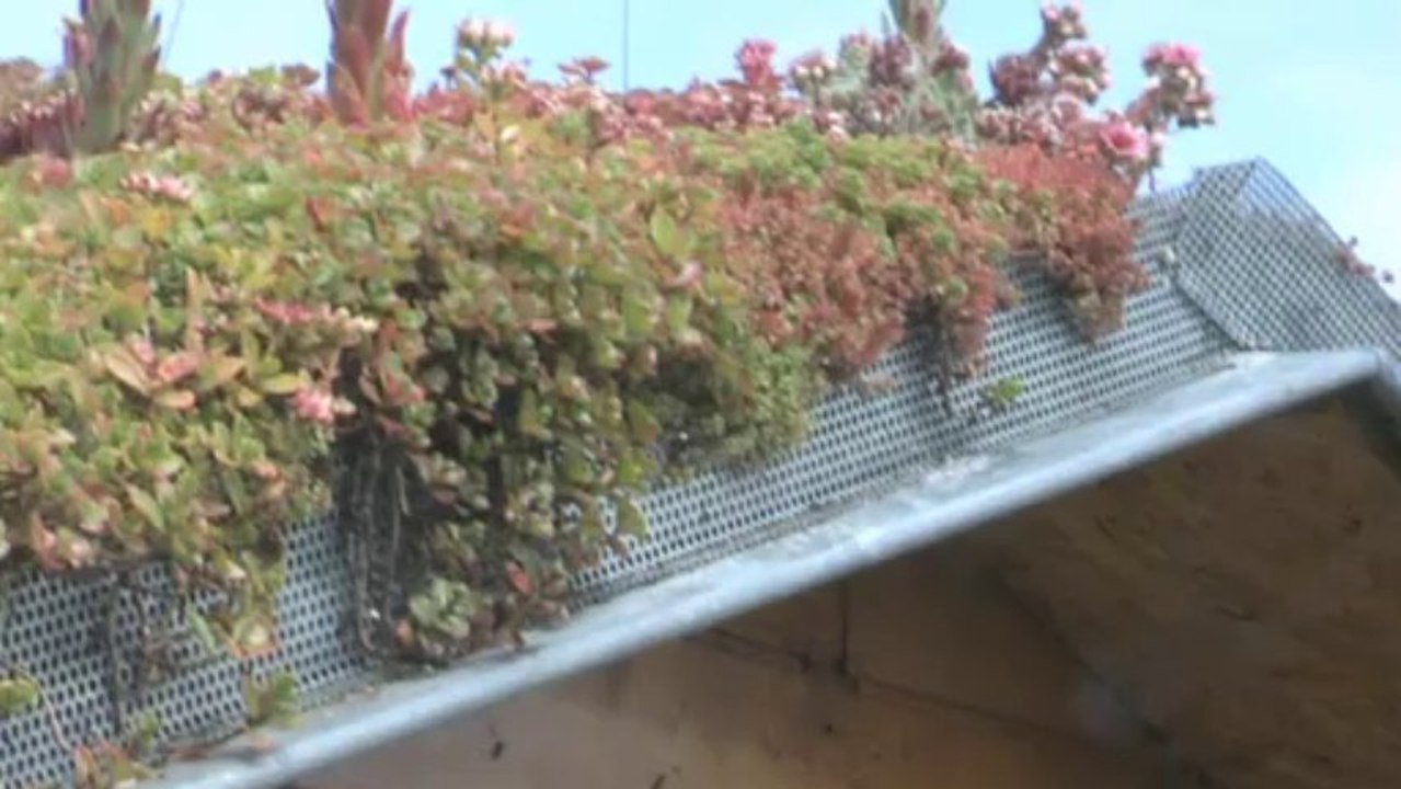 Eco Toit Concept - Stéphane Poisson