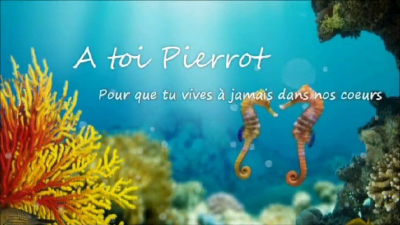 A toi Pierrot ... 1 film en version longue