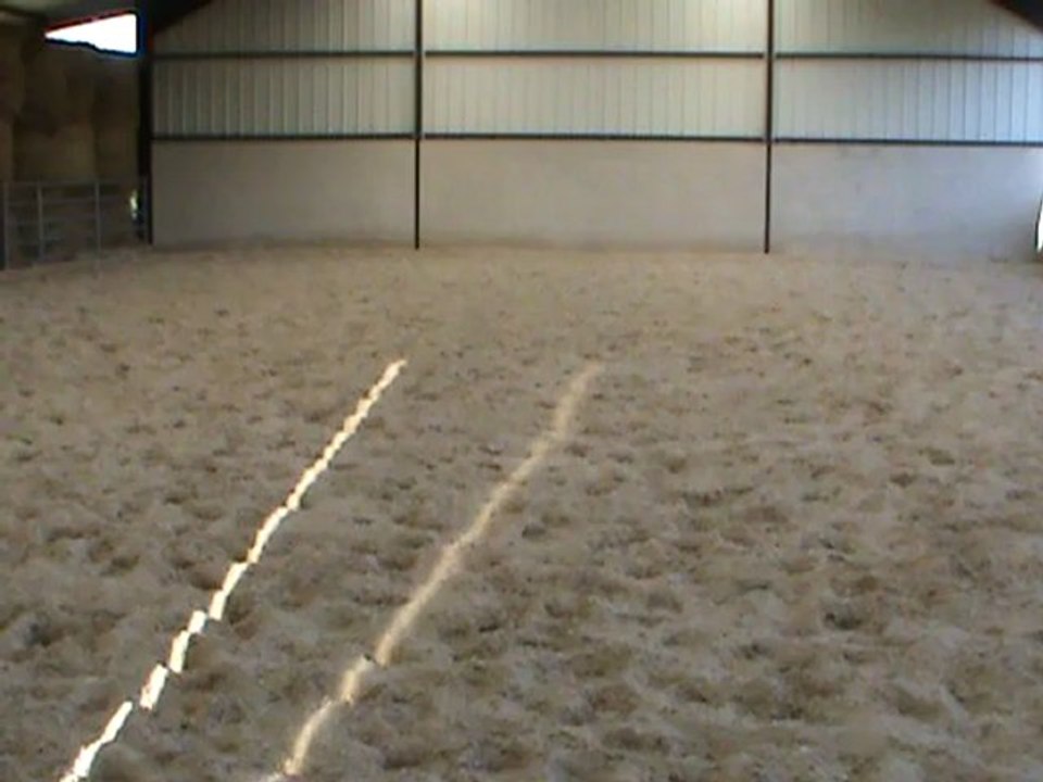 M2U04719 galop d ap milieu eed et tête au mur