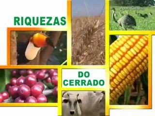 Agro Mais do dia 05-10-2012