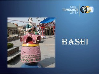 Professional Sinhala Voice Over Samples 🎙️ | High-Quality Audio & Video Translations