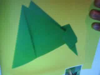 Colibri qui bat des ailes