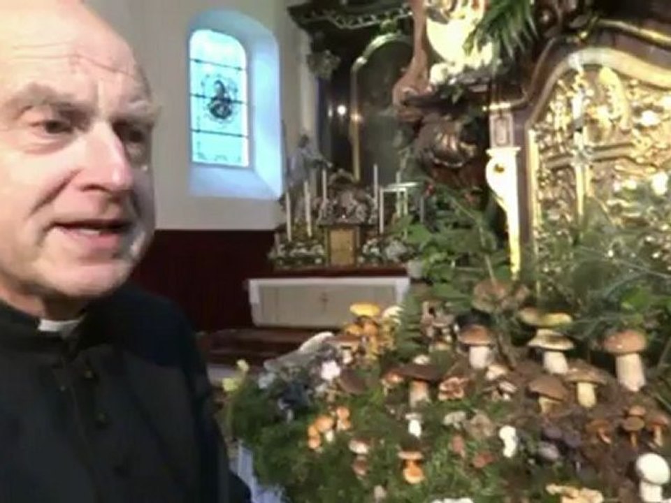 Schwammerlaltar 2012  Zell an der Ybbs