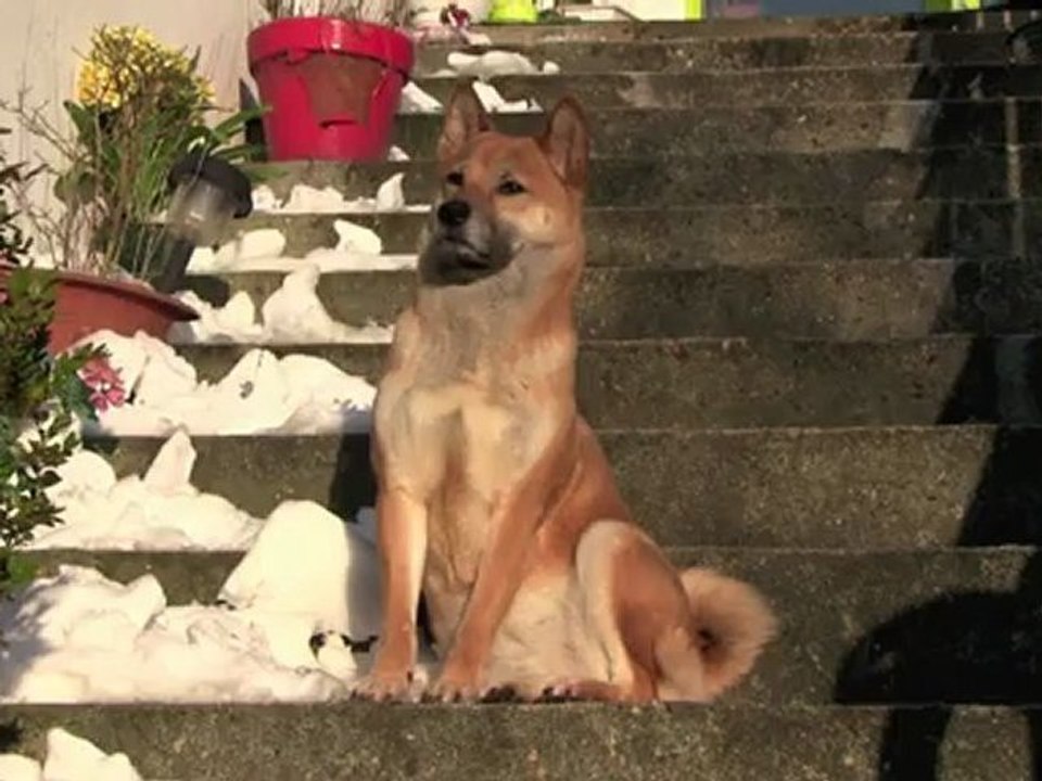人生の瞬間