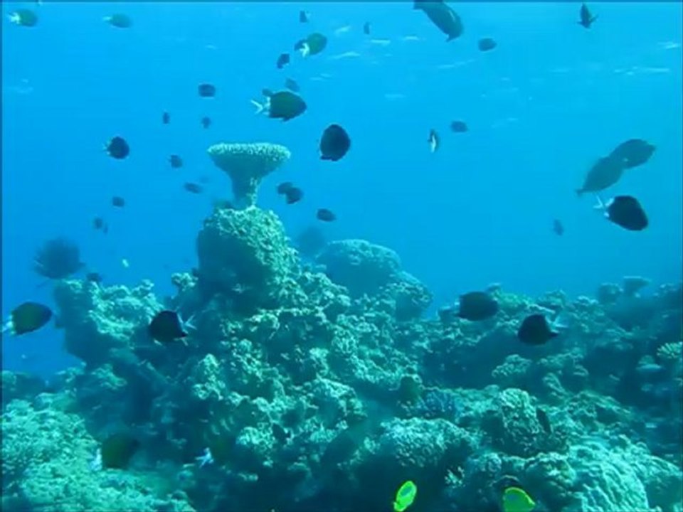 Ile des Pins, août 2012