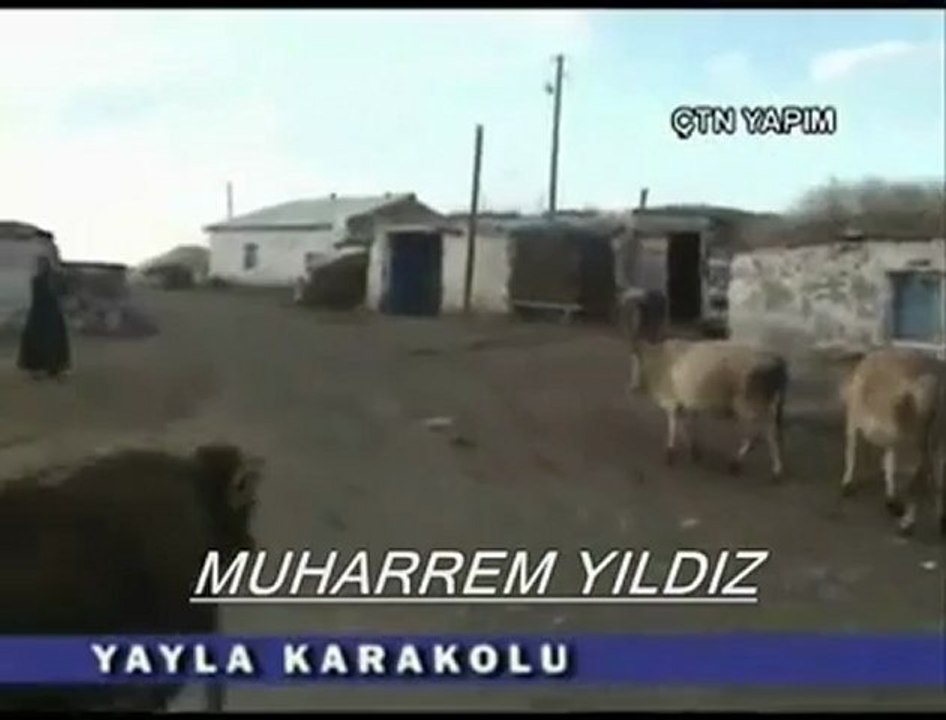 Ardahan Hoçvan Yayla karakolu Köyü