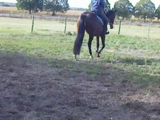 Véga le 29 sept 2012