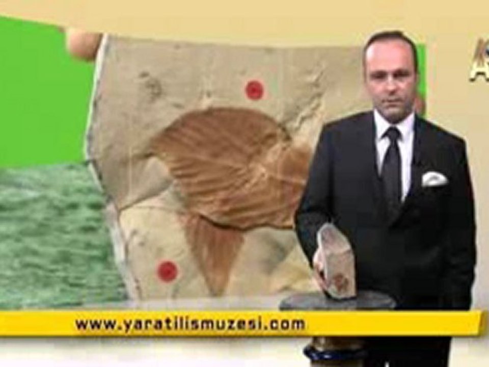 MİLYONLARCA YILDIR DEĞİŞMEYEN TİMSAHLAR