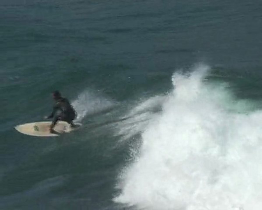 Surf