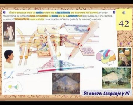 Neurologia de la Musica y el Lenguaje 06 Area de Wernicke - Prof Manuel Lafarga