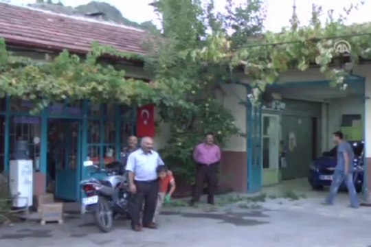 Bir dalda 5 çeşit elma