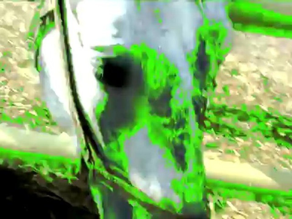 Miron - Chicago Horses (sound and video by Miron)