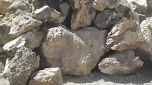 P9186353