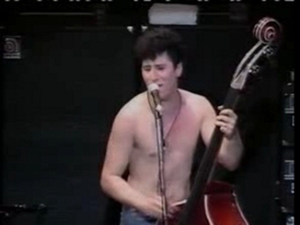 Stray Cats - I Fought The Law