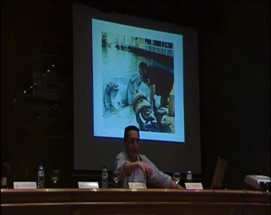 Savants Escultores - Alonzo Clemons - Prof Manuel Lafarga