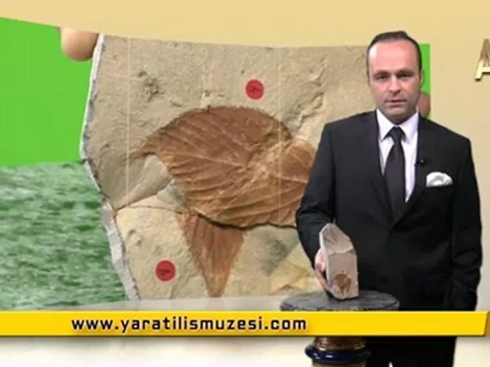 MİLYONLARCA YILDIR DEĞİŞMEYEN KARAAĞAÇLAR