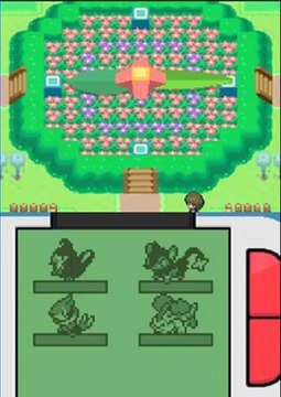 Walkthrough pokemon platine 07- Le 2éme badge