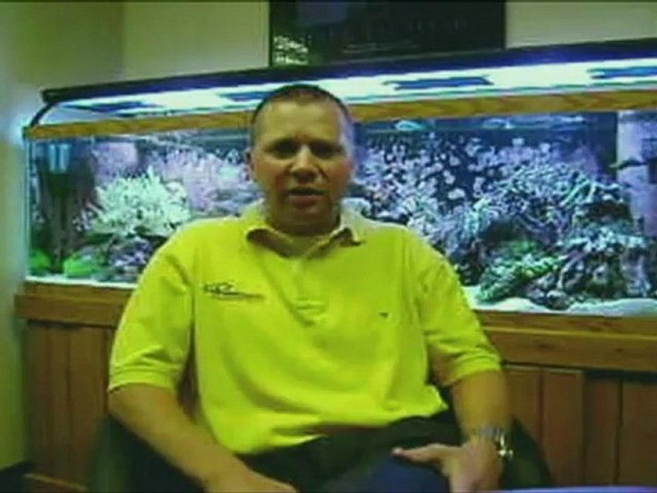 Testimonial - PHT - Ben Brookhart