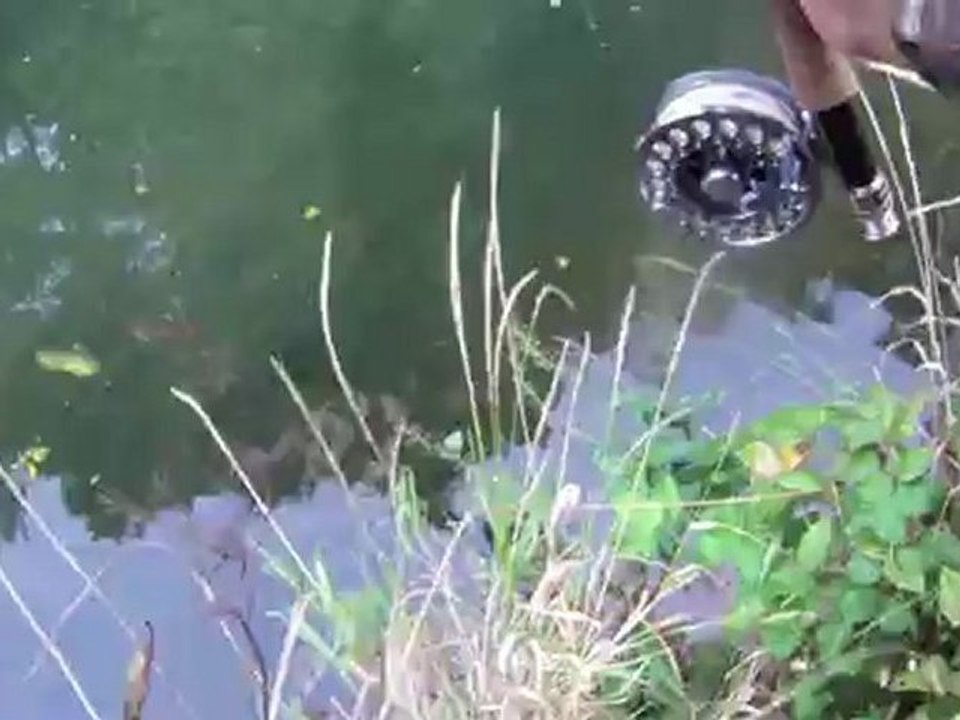 Une fin de saison truite en 2ème catégorie