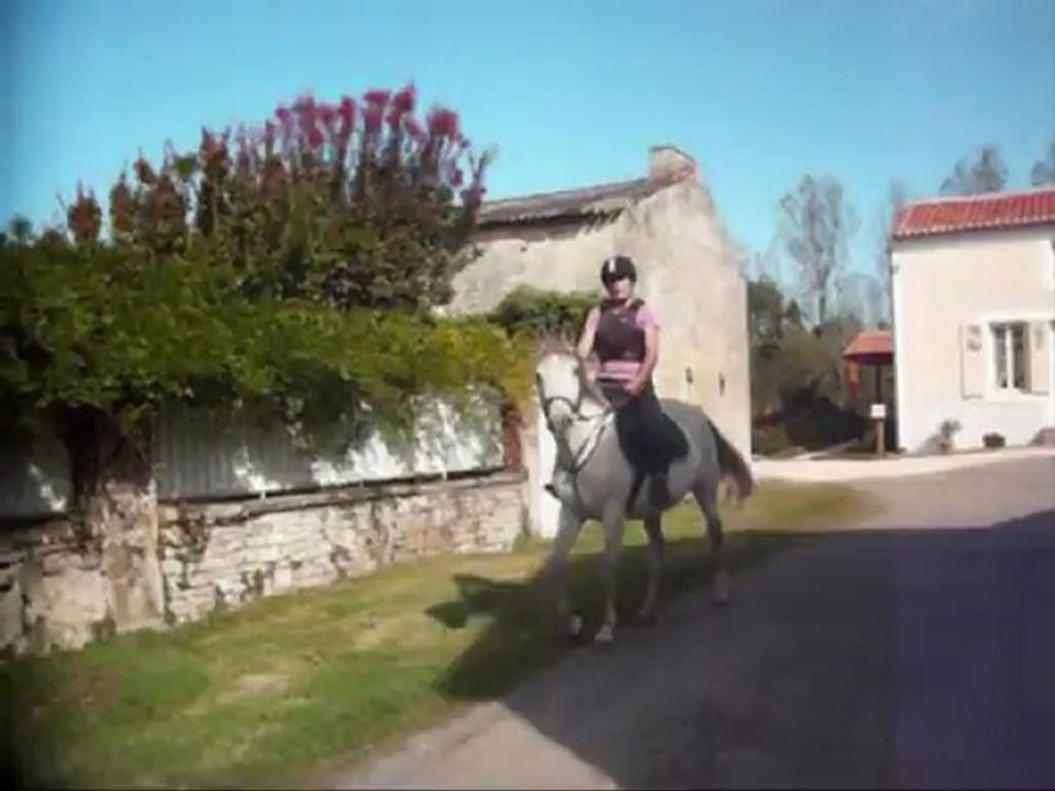 Extrait des première sortie de Nina