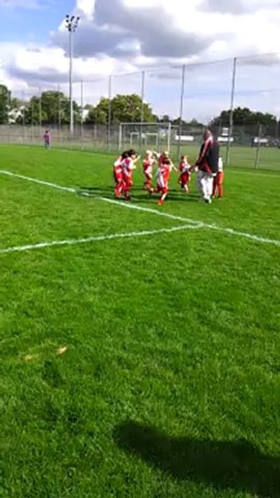 Rugby n1