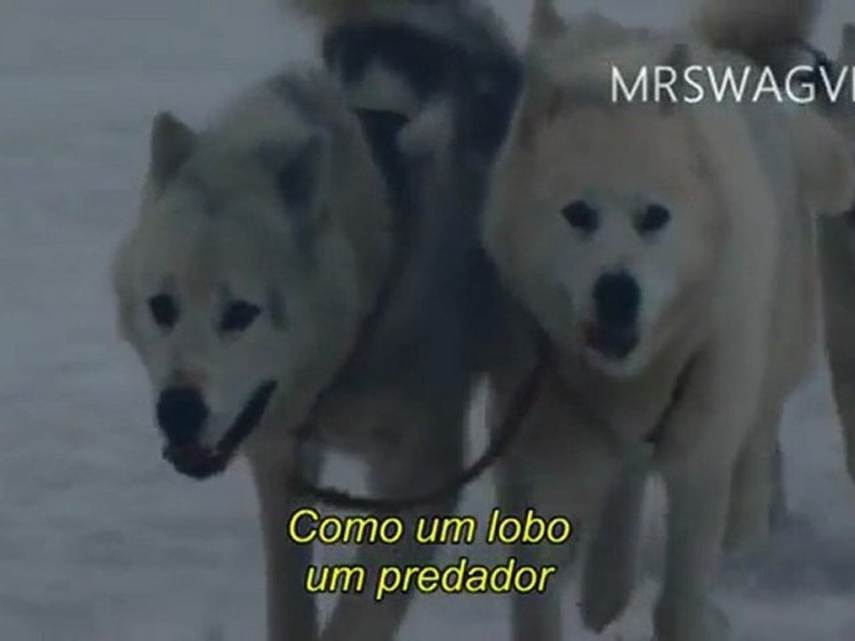 David Guetta - She Wolf (Falling To Teaser Video)