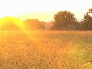 Hypnosis -- HYPNOTIC ECLIPSE I