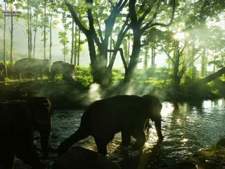 Codename Facebook AutoLike Bot Gold Ultimate Version Download