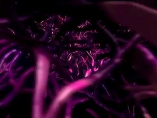 Fantastic Hypnotic Inner Voyages -- Very Low Frequency Binaural Short 3