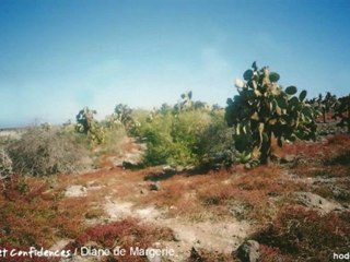 Diane de Margerie Ecriture et Confidences