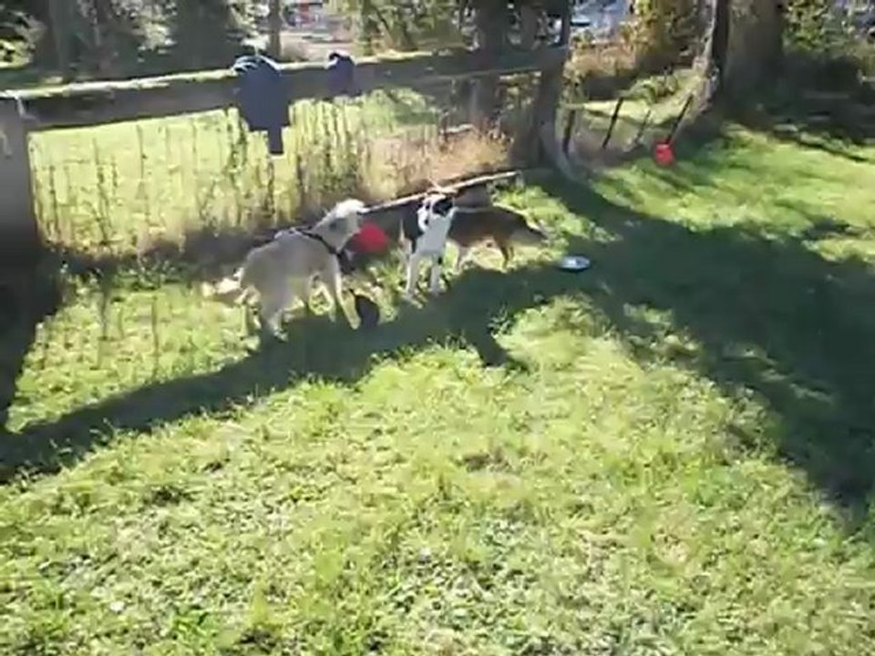 100_0728