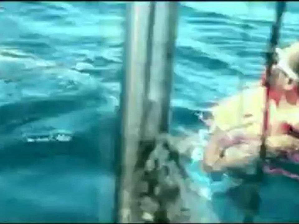TRAILER - TUTTI A PECORINI