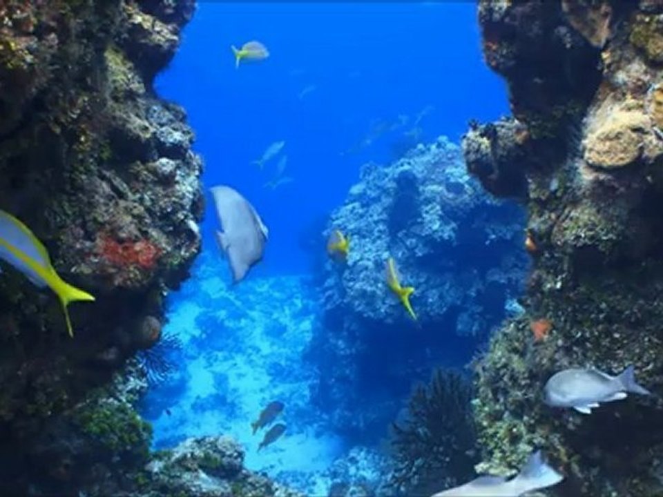 Peaceful Waters