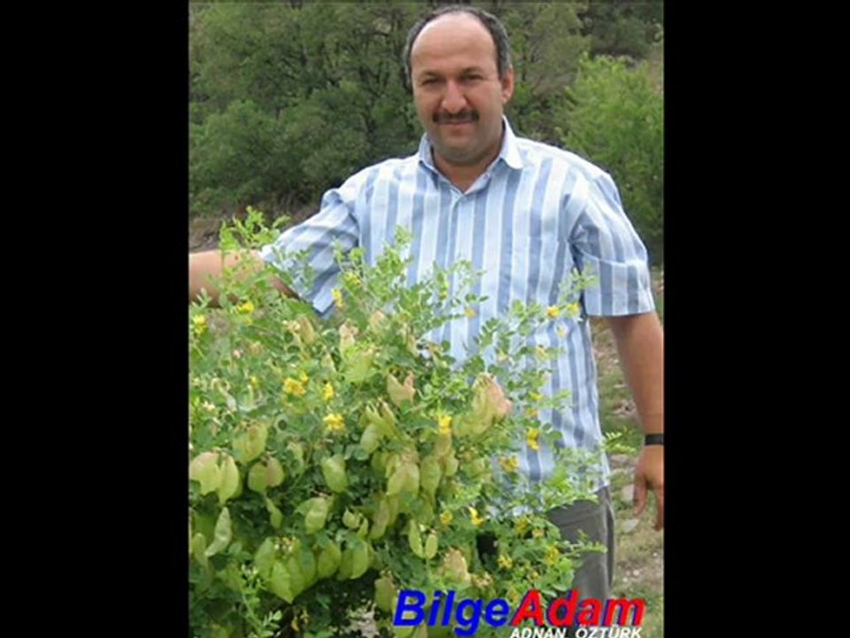 GASİYE 088 KURAN Sureindir BilgeAdam SADİ ÖZTÜRK Akcakese Güdül ADNAN ÖZTÜRK Kusay akcakesetv