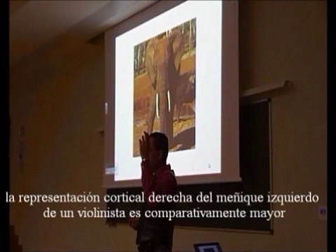 Cerebro, Musica y Lenguaje 3 de 4 Produccion e Interpretacion - Prof Manuel Lafarga