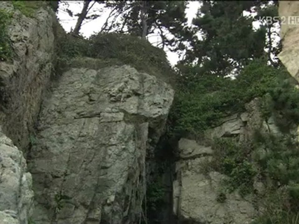 HLvE11.AF_1