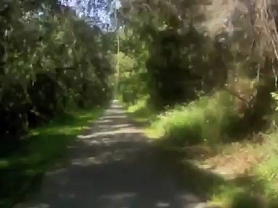 Trail Head to Trail Head to Trail Head