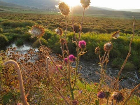 Erzurum Ardahan Kars Iğdır Resimleri @ MEHMET ALİ ARSLAN Yayınları